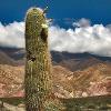 Up in the Andes, Salta , Argentina